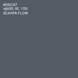 #535C67 - Scarpa Flow Color Image
